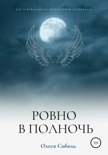 Книга - Олеся  Соболь - Ровно в полночь (fb2) читать без регистрации