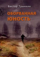 Книга - Виктор  Трынкин - Оборванная юность (fb2) читать без регистрации