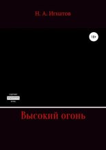 Книга - Николай Александрович Игнатов - Высокий огонь (fb2) читать без регистрации