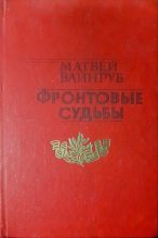 Книга - Матвей Григорьевич Вайнруб - Фронтовые судьбы (djvu) читать без регистрации