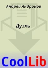 Книга - Андрей  Андронов - Дуэль (fb2) читать без регистрации