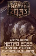 Книга - Дмитрий  Северов - Метро 2039. Приключения сумасшедшего (fb2) читать без регистрации