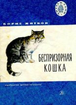 Книга - Борис Степанович Житков - Беспризорная кошка (djvu) читать без регистрации