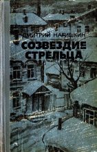 Книга - Дмитрий Дмитриевич Нагишкин - Созвездие Стрельца (fb2) читать без регистрации