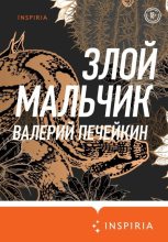 Книга - Валерий  Печейкин - Злой мальчик (fb2) читать без регистрации