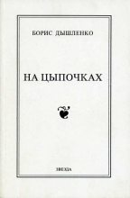Книга - Борис Иванович Дышленко - На цыпочках (fb2) читать без регистрации