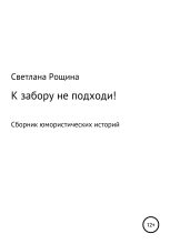 Книга - Светлана  Рощина - К забору не подходи! (fb2) читать без регистрации