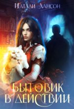 Книга - Натали Лансон - Бытовик в действии (СИ) (fb2) читать без регистрации