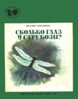 Книга - Виталий Николаевич Танасийчук - Сколько глаз у стрекозы? (fb2) читать без регистрации
