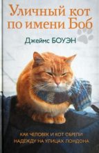 Книга - Джеймс  Боуэн - Уличный кот по имени Боб. Как человек и кот обрели надежду на улицах Лондона (fb2) читать без регистрации