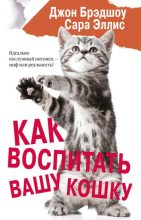 Книга - Сара  Эллис - Как воспитать вашу кошку (fb2) читать без регистрации