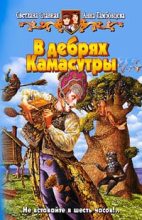 Книга - Светлана  Славная - В дебрях Камасутры (fb2) читать без регистрации