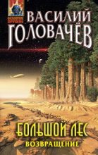Книга - Василий Васильевич Головачев - Большой лес. Возвращение (fb2) читать без регистрации