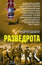 Книга - Андрей Михайлович Дышев - Сынок (fb2) читать без регистрации