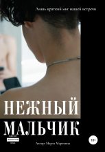 Книга - Марта  Мартовна - Нежный мальчик (fb2) читать без регистрации