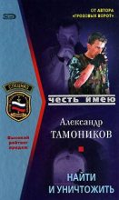 Книга - Александр Александрович Тамоников - Найти и уничтожить (fb2) читать без регистрации