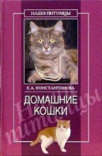 Книга - Екатерина Александровна Константинова - Домашние кошки (fb2) читать без регистрации