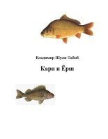 Книга - Владимир  Шуля-Tабиб - Карп и Ёрш (fb2) читать без регистрации