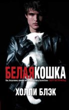 Книга - Холли  Блэк - Белая кошка (fb2) читать без регистрации
