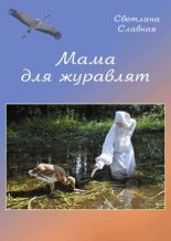 Книга - Светлана  Славная - Мама для журавлят (fb2) читать без регистрации
