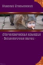 Книга - Николай Михайлович Сухомозский - Эксцентричные обычаи (fb2) читать без регистрации