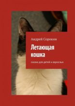 Книга - Андрей  Сорокин - Летающая кошка. Сказка для детей и взрослых (fb2) читать без регистрации