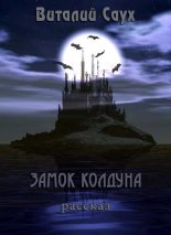 Книга - Виталий Анатольевич Саух - Замок колдуна (СИ) (fb2) читать без регистрации