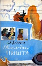 Книга - Эсфирь Яковлевна Цюрупа - Жил-был Пышта (fb2) читать без регистрации