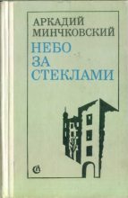 Книга - Аркадий Миронович Минчковский - Небо за стёклами  (fb2) читать без регистрации