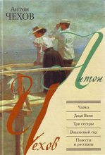 Книга - Антон Павлович Чехов - Чайка (fb2) читать без регистрации
