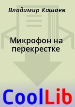 Книга - Владимир  Кашаев - Микрофон на перекрестке (fb2) читать без регистрации