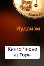 Книга - Илья  Мельников - Книга Числа из Торы (fb2) читать без регистрации