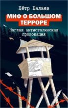 Книга - Петр Григорьевич Балаев - Миф о Большом терроре (fb2) читать без регистрации