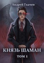 Книга - Андрей Сергеевич Ткачев - Князь шаман (СИ) (fb2) читать без регистрации