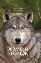 Книга - Александр  Пискунов - Волчий уголок (fb2) читать без регистрации