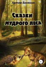 Книга - Артем Евгеньевич Белянин - Сказки мудрого леса (fb2) читать без регистрации