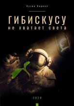 Книга - Кирилл Андреевич Кузин - Гибискусу не хватает света (fb2) читать без регистрации