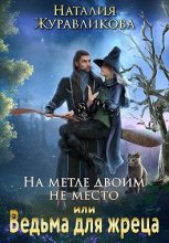 Книга - Наталия  Журавликова - На метле двоим не место, или Ведьма для жреца (fb2) читать без регистрации
