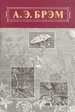 Книга - Альфред Эдмунд Брэм - Жизнь животных, Том III, Пресмыкающиеся. Земноводные. Рыбы (fb2) читать без регистрации