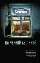 Книга - Роман Валерьевич Сенчин - На черной лестнице (fb2) читать без регистрации