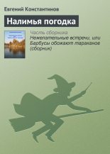 Книга - Евгений Михайлович Константинов - Налимья погодка (fb2) читать без регистрации