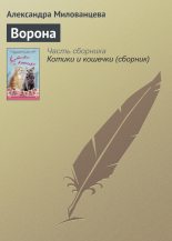 Книга - Александра  Милованцева - Ворона (fb2) читать без регистрации