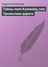 Книга - Андрей Зиновьевич Синельников - Тайны поля Куликова, или Трилистник дороги (fb2) читать без регистрации