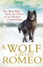 Книга - Ник  Дженс - Волк по имени Ромео. Как дикий зверь покорил сердца целого города (fb2) читать без регистрации