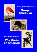 Книга - Джон Джеймс Одюбон - Птицы Америки. Альбом с иллюстрациями (pdf) читать без регистрации