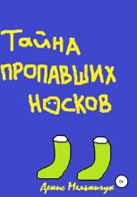 Книга - Денис  Мельничук - Тайна пропавших носков (fb2) читать без регистрации