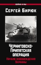 Книга - Сергей Николаевич Бирюк - Черниговско-Припятская операция. Начало освобождения Украины (fb2) читать без регистрации