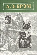 Книга - Альфред Эдмунд Брэм - Жизнь животных, Том I, Млекопитающие (fb2) читать без регистрации