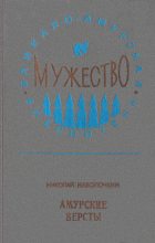 Книга - Николай Дмитриевич Наволочкин - Амурские версты (fb2) читать без регистрации