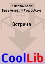 Книга - Станислав Евгеньевич Городков - Встреча (fb2) читать без регистрации